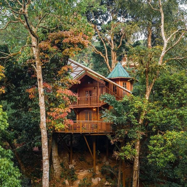 Forestvalley Tree House, Hotel, Resort